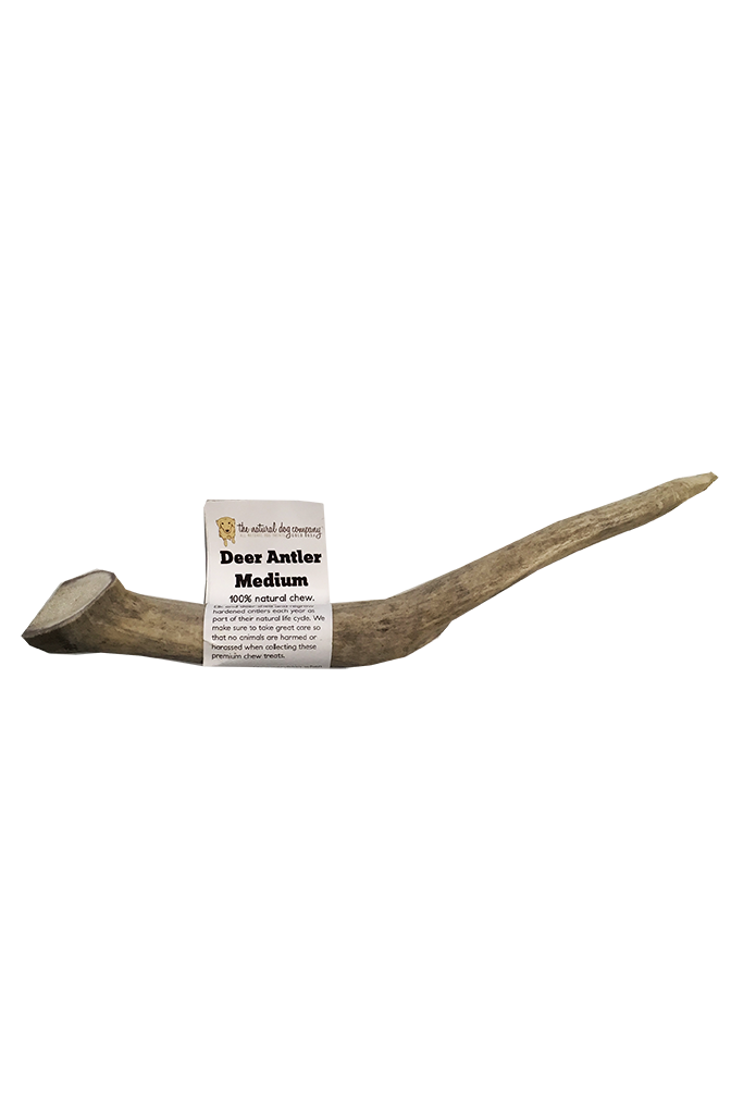 Natural Dog Co. Deer Antler, Medium